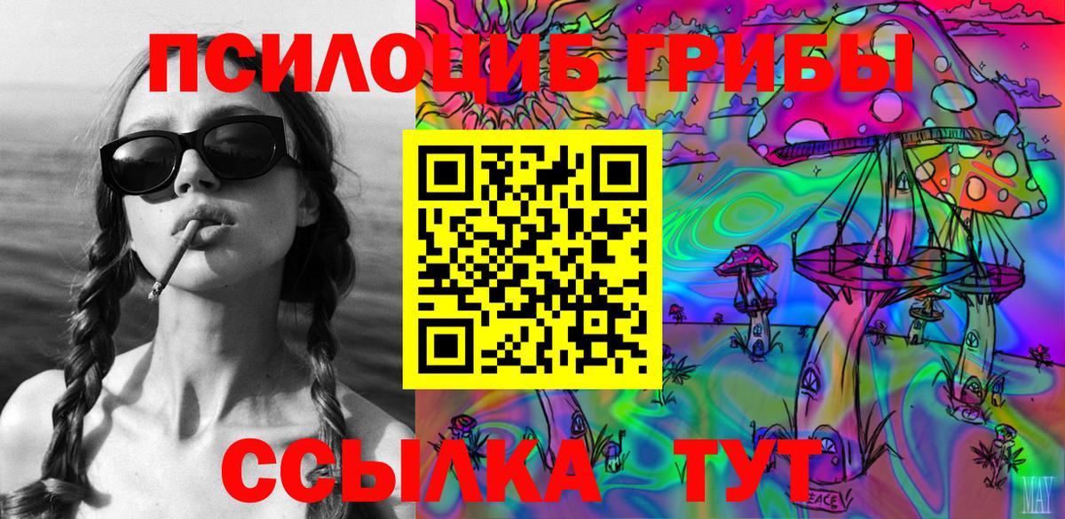 Галлюциногенные грибы Psilocybine cubensis Абакан