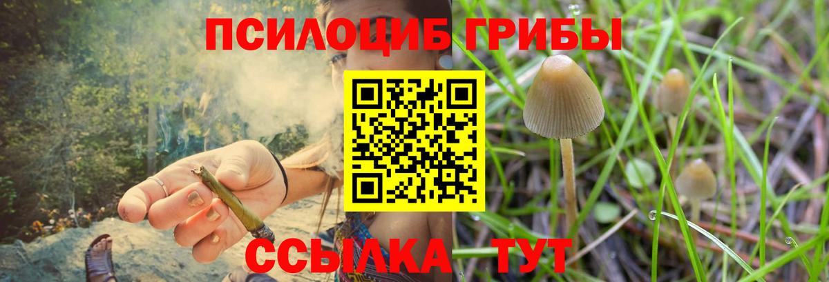 Абакан  как найти   Вход с VPN  Галлюциногенные грибы Magic Shrooms 